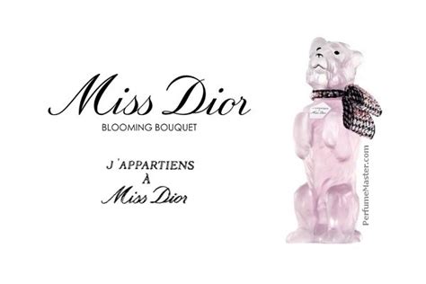 j'appartiens à miss dior|miss dior bobby.